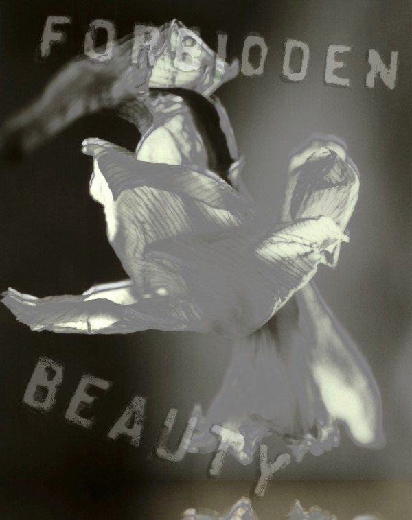 Forbidden Beauty by Bruce Rolff